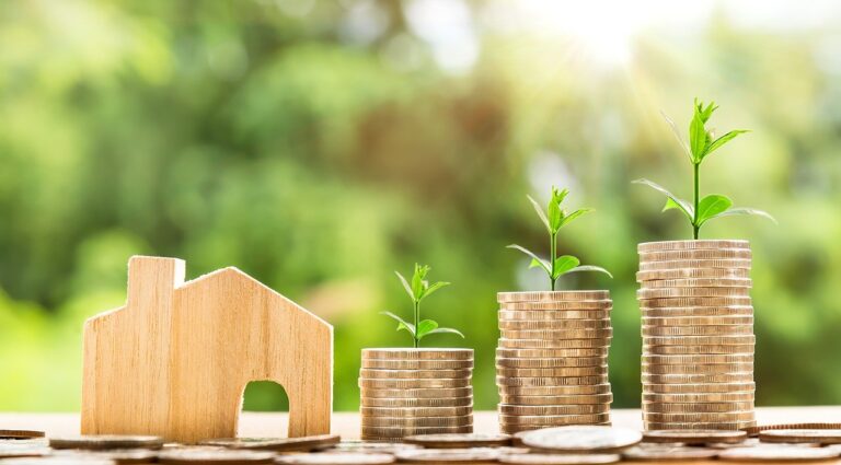 Real Estate Rental or Mutual Funds which is right for long term investor?